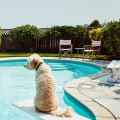 Pros Of Hiring The Best Custom Pool Contractors In Paterson, NJ For Building Log Home Pools