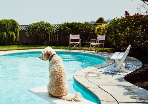 Pros Of Hiring The Best Custom Pool Contractors In Paterson, NJ For Building Log Home Pools