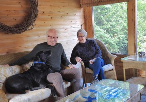 Building A Better Log Home: Window Film Installation In Vancouver